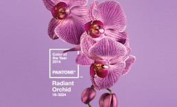 Pantone's Radiant Orchid color for 2014